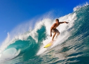 熊猫体育下载-森林狼的觉醒，爱德华兹在季后赛之夜书写传奇