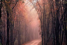 熊猫体育-富安健洋爆发，罗马生死战取胜乌拉圭—亚洲铁卫的逆袭与战术革命