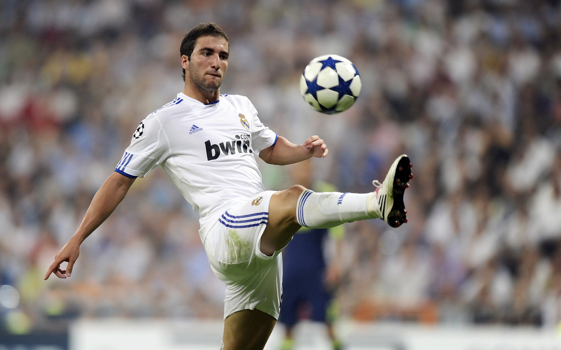 阿尔及利亚之魂与德甲之巅，阿尔瓦雷斯在争冠战中的传奇接管